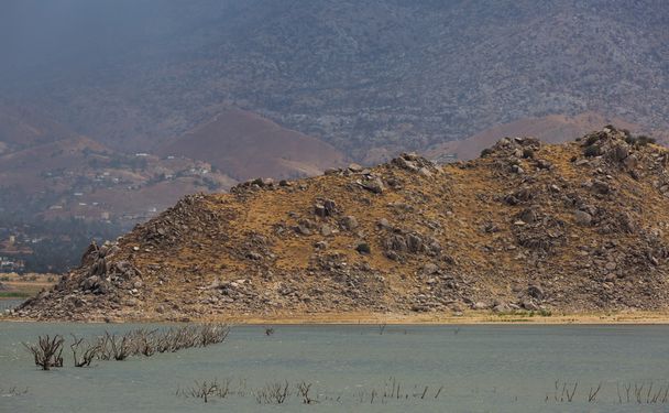 Λίμνη Ισαβέλλα νεκρά δέντρα έξω από το νερό - Φωτογραφία, εικόνα