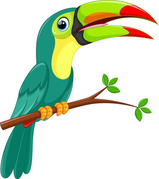 χαριτωμένο toucan πουλιών κινούμενων σχεδίων - Διάνυσμα, εικόνα
