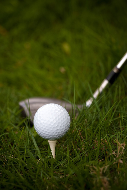 golfový míček a odpal - Fotografie, Obrázek