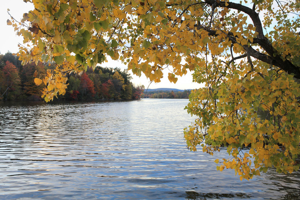Herbstfarben am See - Foto, Bild