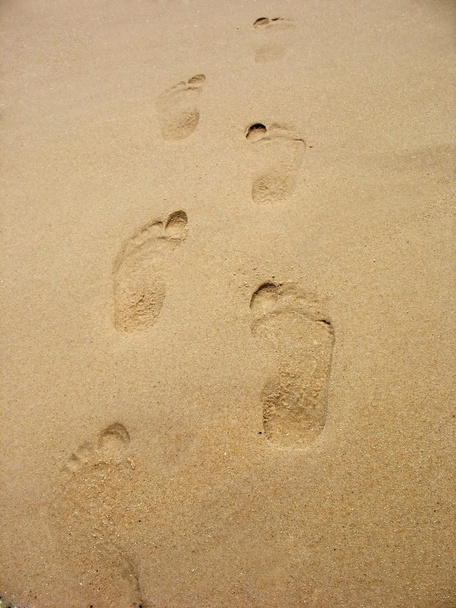ślady na piasku - Zdjęcie, obraz