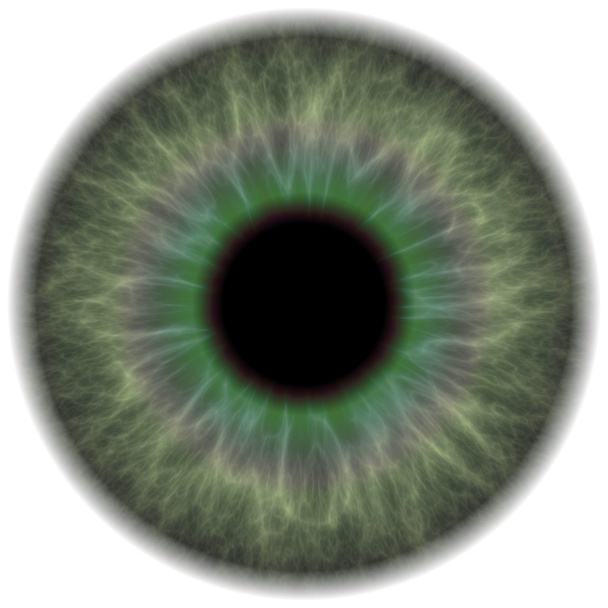 Iris mit grünem Auge - Foto, Bild