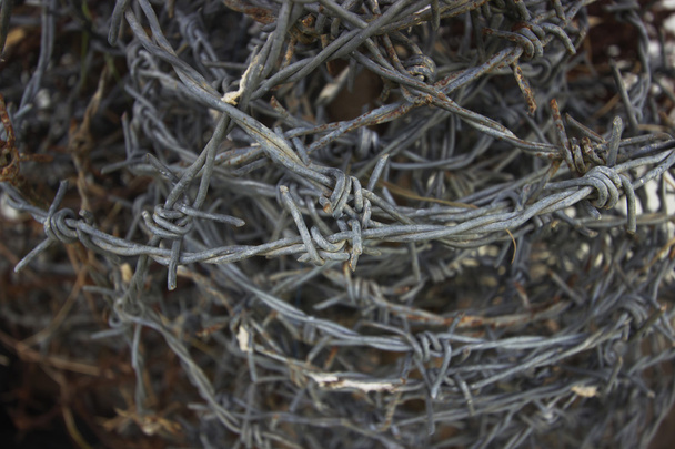 barbed wire for background - Photo, Image