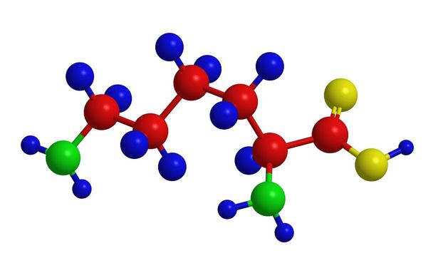 Estructura molecular de la lisina
 - Foto, Imagen