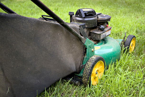 プッシュ スタイルの芝刈機 - 写真・画像