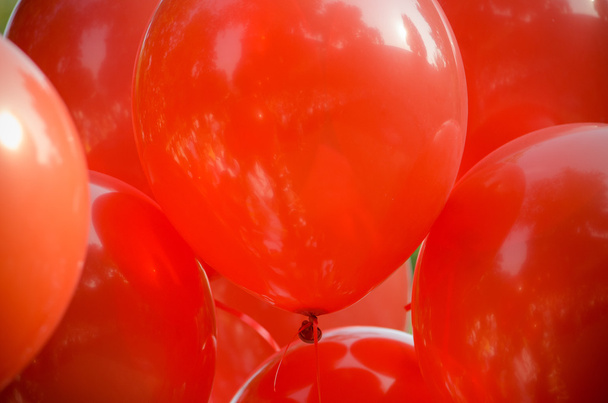 globos rojos en el festival el primero de septiembre en la escuela
 - Foto, Imagen