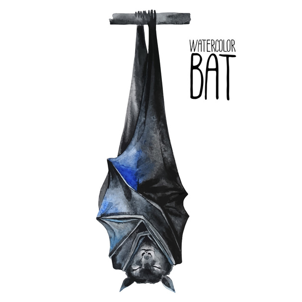 Watercolor sleeping bat - Vector, Image