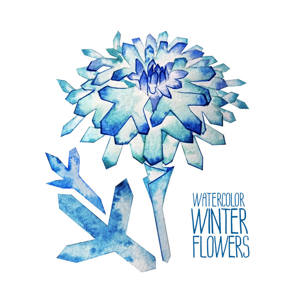 Watercolor  fntasy winter flowers - Foto, afbeelding