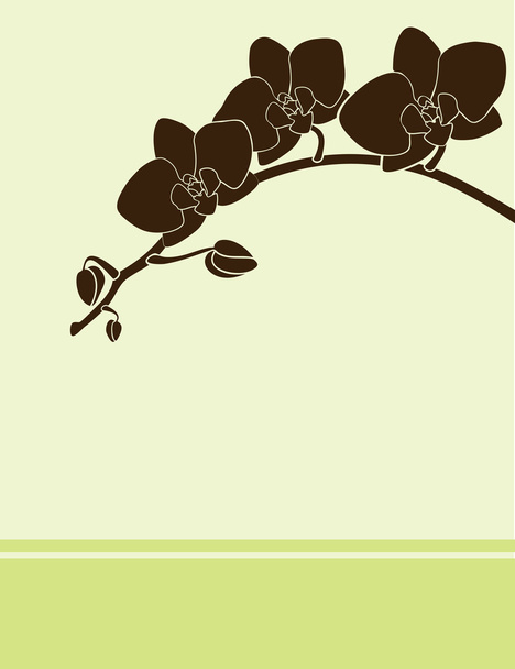 Orchid card green - Vector, Image