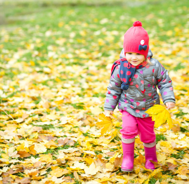 Portrait of a little girl in autumn park - Fotoğraf, Görsel