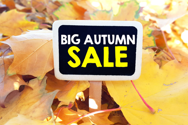blackboard with big autumn sale - Photo, Image