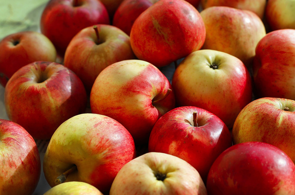 Dojrzałe czerwone jabłka - Zdjęcie, obraz