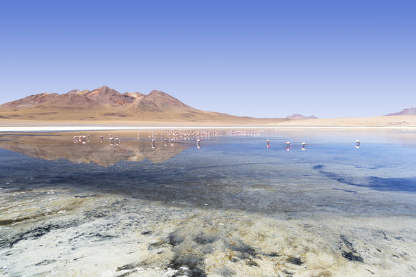 Meren van woestijnen uit Bolivia - Foto, afbeelding