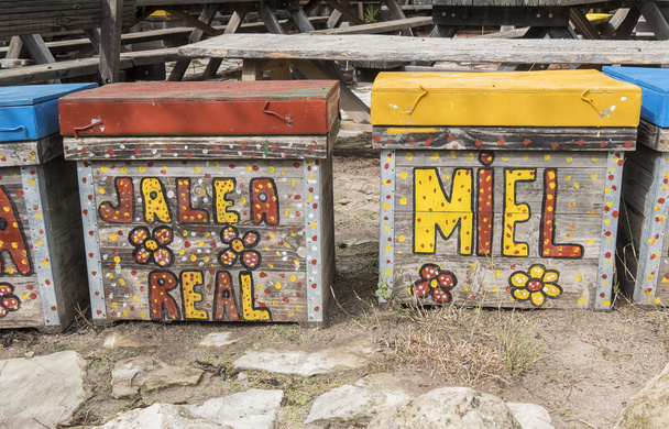 Güzel bir şekilde dekore edilmiş arı kovanlarını - Fotoğraf, Görsel