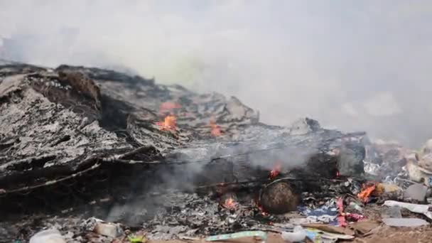 Spalania wysypisko śmieci, zanieczyszczenia - Materiał filmowy, wideo