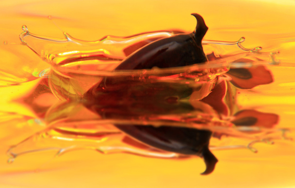 пальмовое масло
 - Фото, изображение