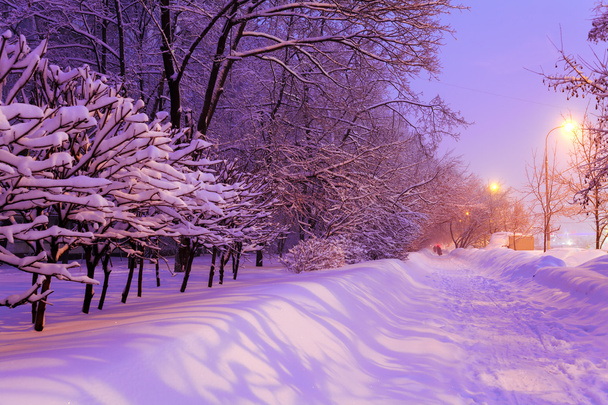 Night Winter City Scene - Photo, Image