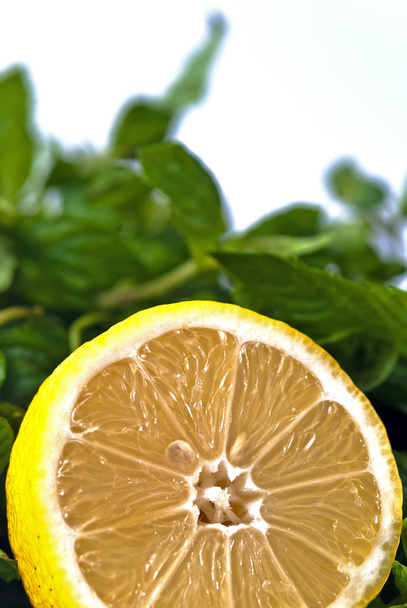 Halved lemon and mint - Фото, зображення