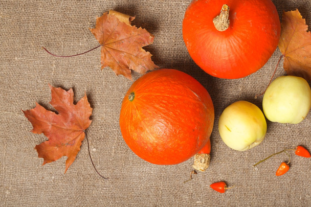 Две оранжевые тыквы и зеленые яблоки
 - Фото, изображение
