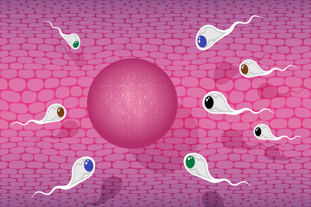 sperma race - Vector, afbeelding