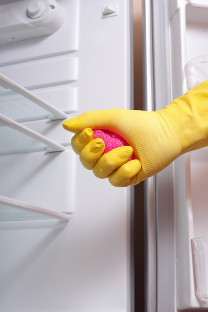Hand cleaning refrigerator. - Foto, Imagen