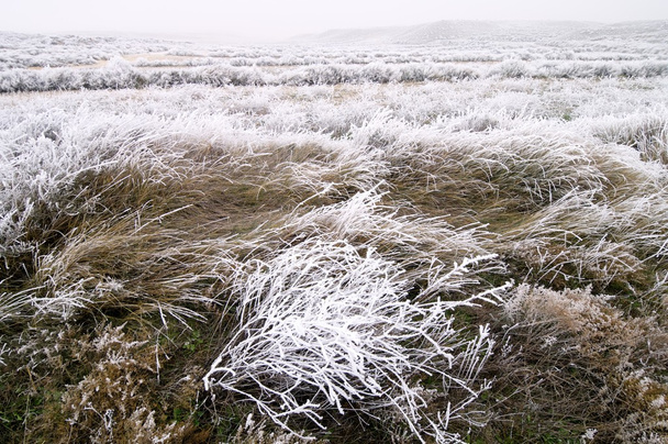Frosty landscape view - Фото, изображение