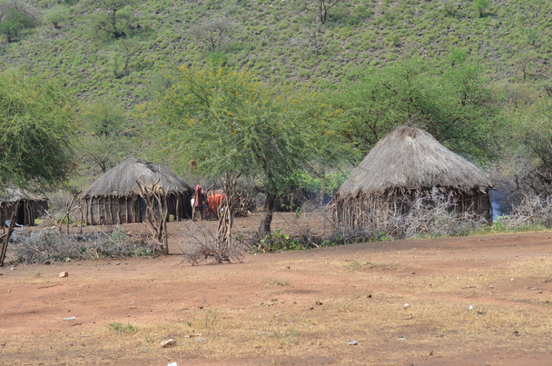der weg vom manyara-see zum natron-see, vorbei am heiligen berg ol doinyo lengay in tansania - Foto, Bild