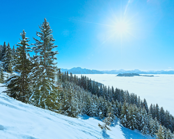 Sunny paesaggio montano invernale
 - Foto, immagini