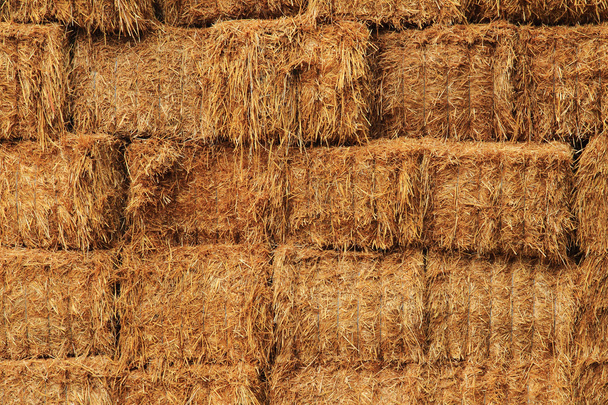 corn straw cubes - Fotografie, Obrázek