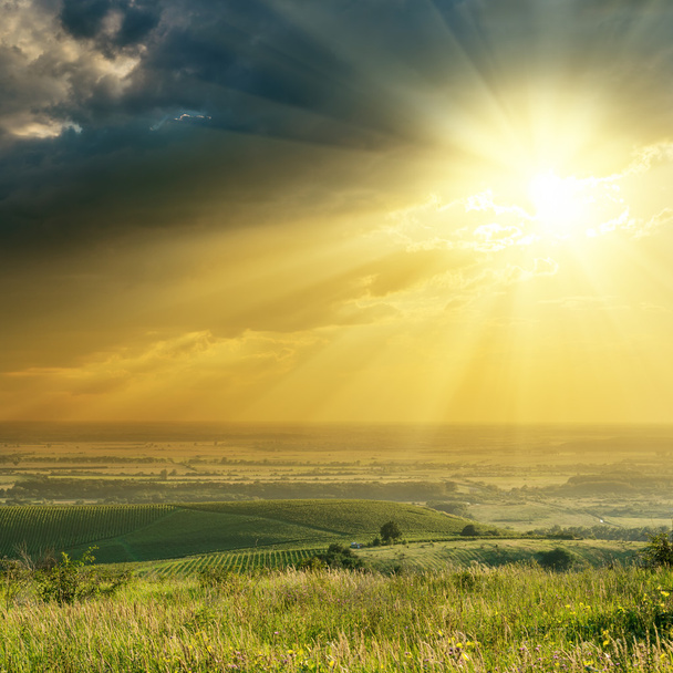 pôr do sol no céu dramático sobre colinas com vinhedo - Foto, Imagem