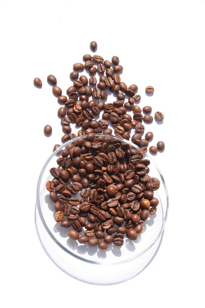 kávová zrna na skleněnou desku - Fotografie, Obrázek
