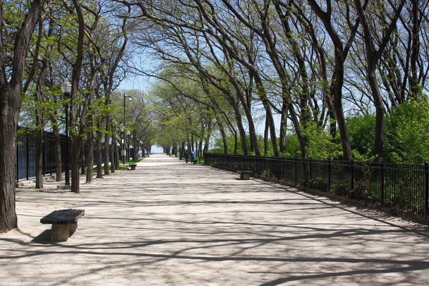 ruhiger Fußweg, umgeben von blühenden Bäumen und Büschen - Foto, Bild