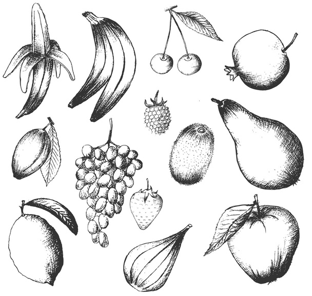 Set of vector hand drawn fruits isolated on white - Vector, Imagen