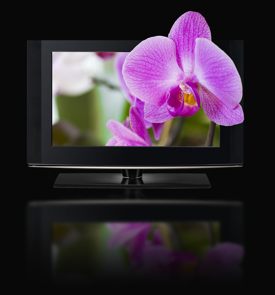 Telewizja 3D. telewizor lcd HD 3d. - Zdjęcie, obraz