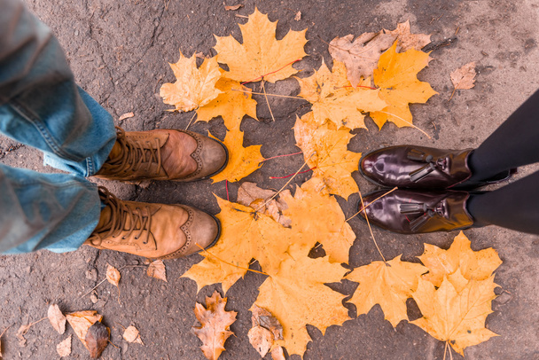 Couple on autumn walk - Фото, изображение