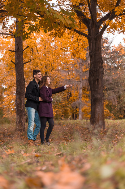 Couple on autumn walk - Fotoğraf, Görsel
