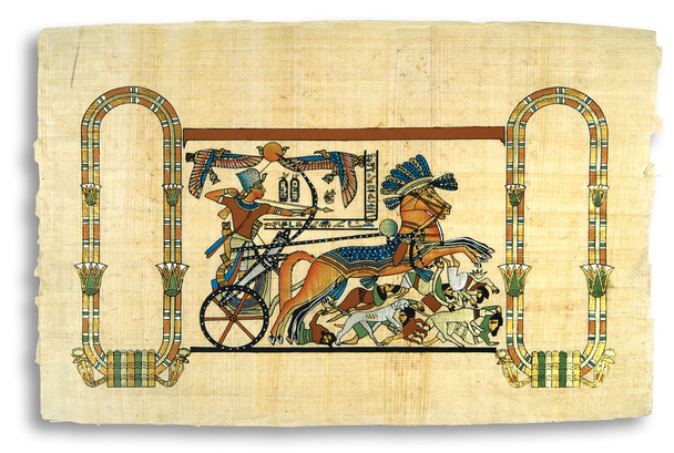 egipski Papirus - Zdjęcie, obraz