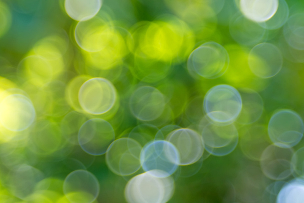 Přírodní zelené rozmazané bokeh - Fotografie, Obrázek