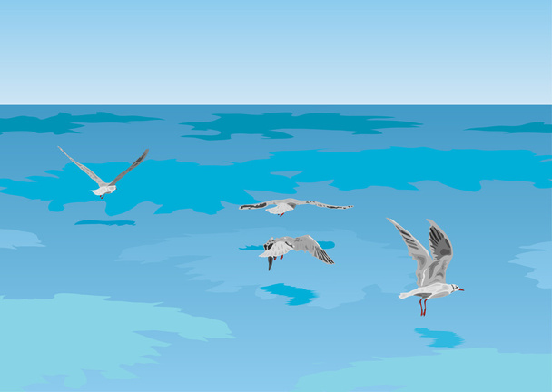 Seagulls on the sea - Vector, Image