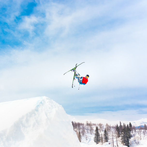 Ski de style libre
. - Photo, image