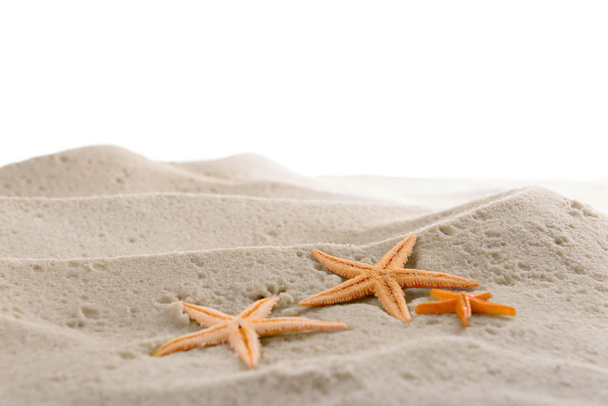 Estrella de mar sobre arena marina
  - Foto, Imagen