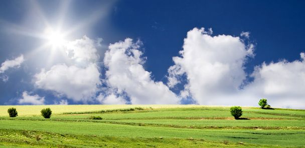 blauwe lucht en groen veld - Foto, afbeelding