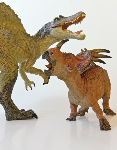 Спинозавр и стиракозавр сражаются на белом фоне
 - Фото, изображение