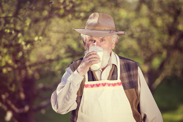 Senior man in orchard - Foto, Imagem