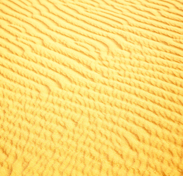 アフリカ サハラ砂漠モロッコ砂漠線茶色の砂丘 - 写真・画像