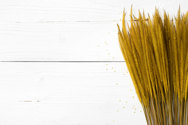 yellow color of wheat - Foto, Bild