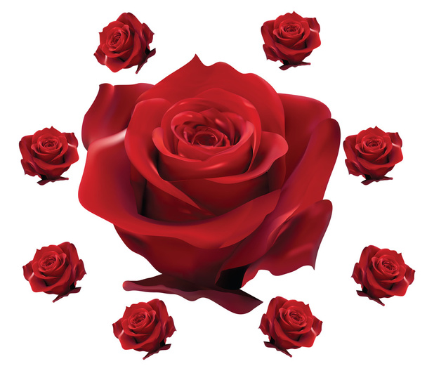 Background with roses - Vector, Imagen