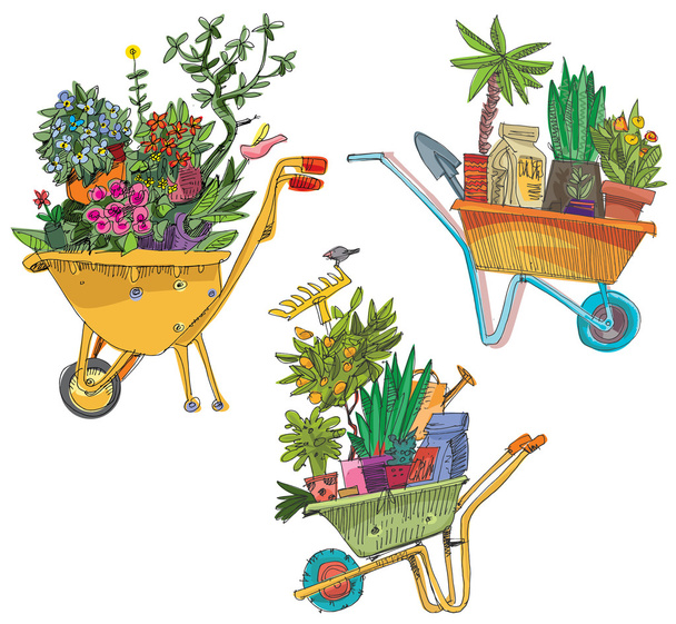 set of wheelbarrows full of plants - Vector, Image