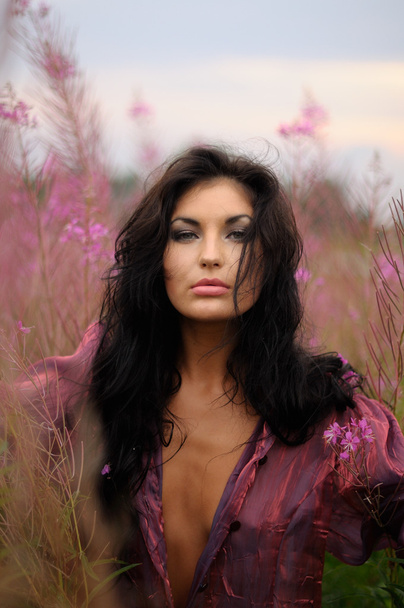 Brunette Beauty With Pink Blooms - 写真・画像