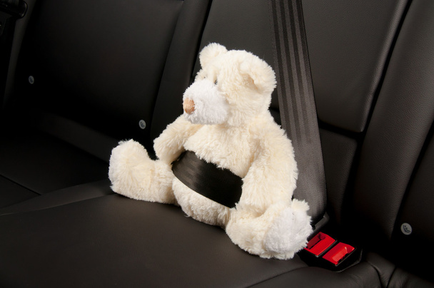 Ours en peluche attaché sur le siège arrière d'une voiture
 - Photo, image
